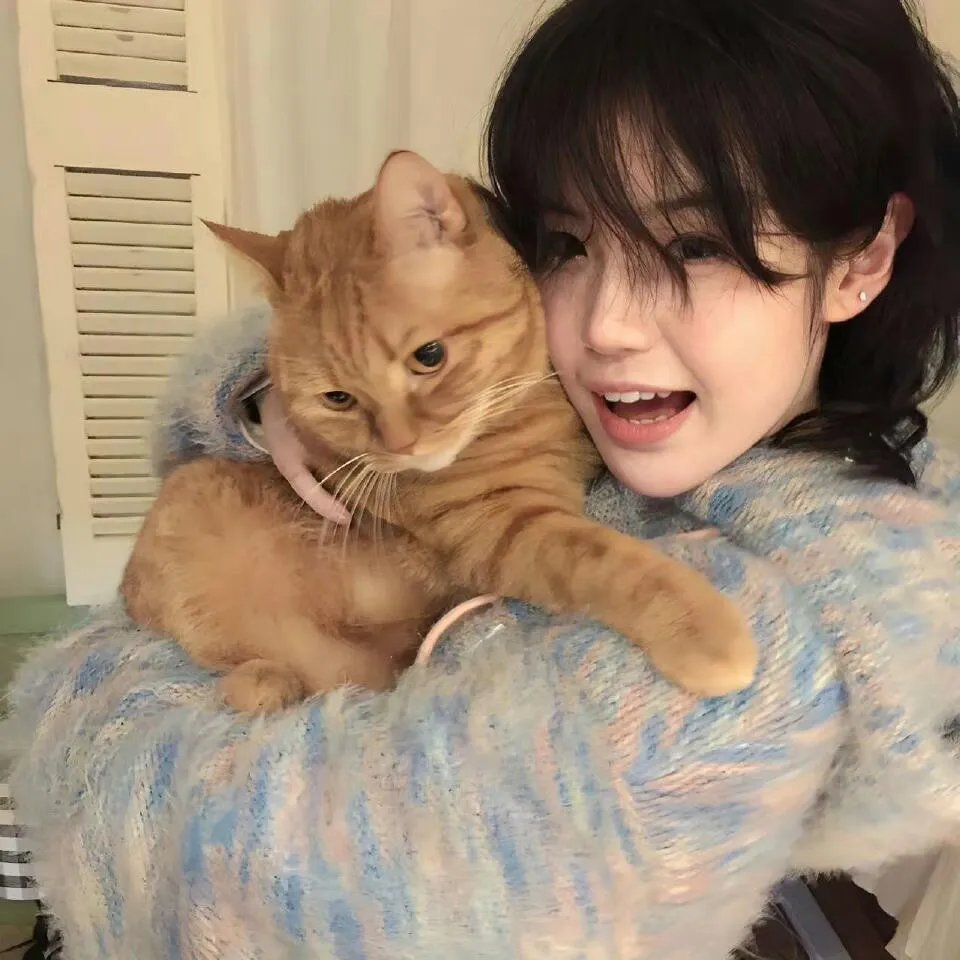 咱可不是猫