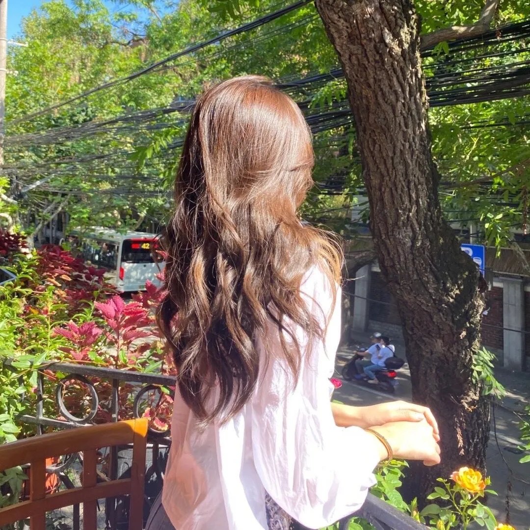 泡芙小姐第二季
